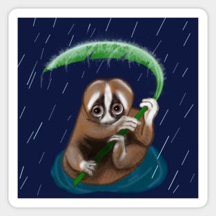 Slow Loris In the Rain Sticker